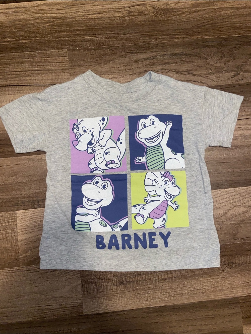 Barney shirt